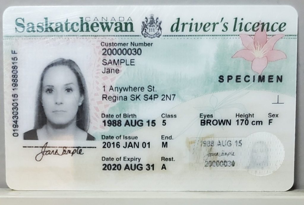First, we all know that if you break the “road traffic act,” your German driver’s license suspended easily. Most at times, this can happen due to for the following reasons: Severe breach of speed restrictions. Using cell phones while driving Driving while under the influence of alcohol or drugs Furthermore, the fines for these offenses may be different, but if you drive under the influence of alcohol or drugs, the authorities will size your license. In addition to having their driving privileges taken away for a certain amount of time, the offender may also have to pass an MPU test before they can drive again. With the MPU test, a person who broke a German traffic law has to go through a series of tests to show that they are mentally ready to get their German driving license back. In addition, the MPU test will require a urine test and other tests to show that the driver is no longer a drug addict. With all of these problems and more, you can help these drivers by giving our client the chance to get a German driver’s license and have their records changed. We are the best online service where you can buy a suspended German driver’s license because we have enough connections and know how the system works. How much does it cost to get a driving license in Germany? When you buy an authentic German driving license, the price will depend on what kind of license you want and how much it costs to register it with the German transport authority. In addition, because the cost of registering a German driver’s license with the German transport authorities is not fixed, the cost of a German driver’s license changes slightly from week to week. The most common type of German driving license that we sell is category B. D L. This is mostly because the category B German driver’s license is the most needed license for everyday use. More so, when you buy an authentic German driver’s license from us, you can pay in a few different ways. We usually take bank transfers for the German driver’s license. In some cases, you can pay for your German driver’s license in parts as the process moves along. When you buy a German driver’s license and it is ready, we usually send it to your home address. It is important that you give us the right information, especially your shipping address, to avoid complications during delivery. How to buy a German driving license online We make it very easy to get a German driver’s license that is registered. Once you find our website, there are many ways to get in touch with us online, such as through telegram, email, or the forms on the website. No matter how you reach out to us, our customer service staff is ready to help you. Secondly, when you talk to one of our customer service reps through our website, you just need to tell them what kind of German driver’s license you want to buy. In addition, it is important to explain your situation, like if your German driver’s license is suspended, if you need to pass an MPU test, if you have never taken a driving test, or if you failed either the theory or practical part of the test. After we understand your situation, we will tell you exactly what we need to give you the German driver’s license you bought. Moreover, once you place your order, you will get your German driver’s license within three to five days. contact us.
