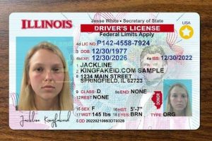 Purchase a legitimate driver's license from the EU, UK, Canada, or the United States. Purchase European drivers licenses, acquire residence permits, obtain passports and ID cards, including diplomatic passports. We offer a range of options such as German driver's licenses, Dutch ID cards, and UK licenses. Purchase a driving license, obtain a European driving license, acquire an international driving licence, regain your revoked licence. Purchase a boat license and acquire a hunting license, ship license and more.