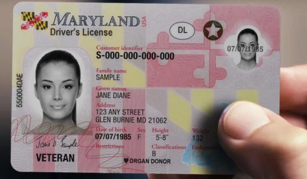 Buy Real Maryland Drivers license