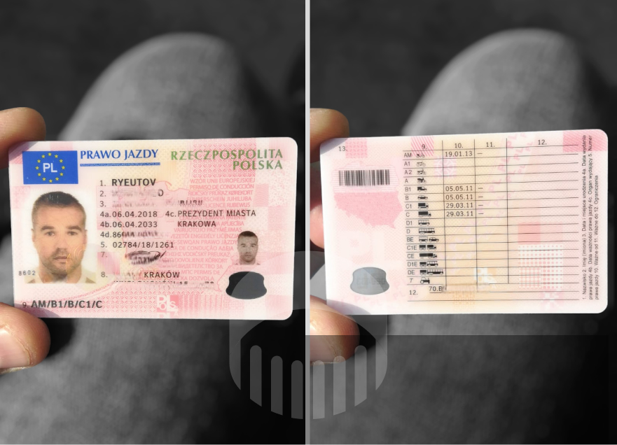 Buy Polish Drivers License
