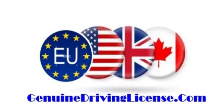 Purchase a legitimate driver's license from the EU, UK, Canada, or the United States. Purchase European drivers licenses, acquire residence permits, obtain passports and ID cards, including diplomatic passports. We offer a range of options such as German driver's licenses, Dutch ID cards, and UK licenses. Purchase a real driving license, obtain a European driving license, acquire an international driving licence, regain your revoked licence. Purchase a boat license and acquire a hunting license
