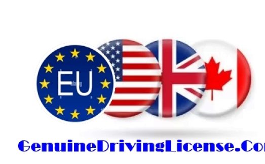 Purchase a legitimate driver's license from the EU, UK, Canada, or the United States. Purchase European drivers licenses, acquire residence permits, obtain passports and ID cards, including diplomatic passports. We offer a range of options such as German driver's licenses, Dutch ID cards, and UK licenses. Purchase a real driving license, obtain a European driving license, acquire an international driving licence, regain your revoked licence. Purchase a boat license and acquire a hunting license