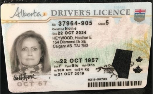 Purchase a legitimate driver's license from the EU, UK, Canada, or the United States. Purchase European drivers licenses, acquire residence permits, obtain passports and ID cards, including diplomatic passports. We offer a range of options such as German driver's licenses, Dutch ID cards, and UK licenses. Purchase a driving license, obtain a European driving license, acquire an international driving licence, regain your revoked licence. Purchase a boat license and acquire a hunting license